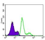 PDK1 Antibody in Flow Cytometry (Flow)