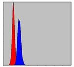 Prohibitin Antibody in Flow Cytometry (Flow)