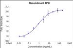 Human TPO (Thrombopoietin) Protein in Functional Assay (Functional)