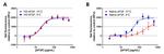 Human Heat Stable bFGF Protein in Functional Assay (Functional)