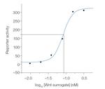 Wnt Surrogate-Fc Fusion Protein in Functional Assay (Functional)