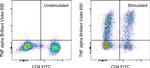 TNF alpha Antibody in Flow Cytometry (Flow)