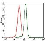 PPM1A Antibody in Flow Cytometry (Flow)