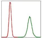 PPP2R4 Antibody in Flow Cytometry (Flow)