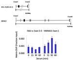 PPP4C Antibody in ChIP Assay (ChIP)