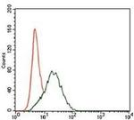 SHP2 Antibody in Flow Cytometry (Flow)