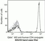 CD4 Antibody in Flow Cytometry (Flow)