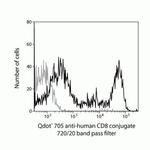 CD8 Antibody in Flow Cytometry (Flow)