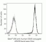 CD45 Antibody in Flow Cytometry (Flow)