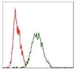 c-Raf Antibody in Flow Cytometry (Flow)