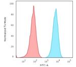 HLA-Pan (MHC II) Antibody in Flow Cytometry (Flow)