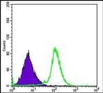 RBP4 Antibody in Flow Cytometry (Flow)