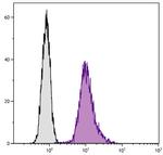 LAMP1 Antibody in Flow Cytometry (Flow)