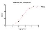 SARS-CoV-2 Spike Protein (RBD) (aa319-541), His Tag Protein in Functional Assay (Functional)