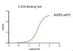 SARS-CoV-2 Spike Protein (S1/S2) (aa16-1213), His-Flag Tag Protein in Functional Assay (Functional)