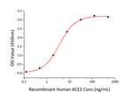 SARS-CoV-2 Spike Protein (RBD) (aa319-541), His Tag Protein in ELISA (ELISA)