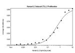 Human IL-2 Protein