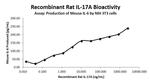 Rat IL-17A Protein