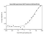 Human TRANCE (RANKL) Protein