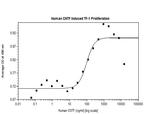 Human CNTF Protein