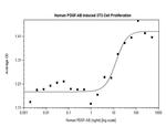 Human PDGF-AB Protein