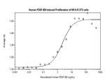 Human PDGF-BB Protein