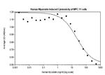 Human Myostatin Protein