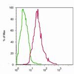 RelB Antibody in Flow Cytometry (Flow)