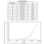 Human IgA Secondary Antibody in ELISA (ELISA)