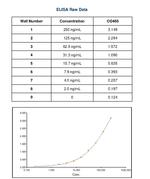 Feline IgG Fc Secondary Antibody in ELISA (ELISA)