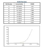 Human IgE Secondary Antibody in ELISA (ELISA)