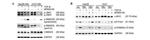 Phospho-SMAD3 (Ser213) Antibody in Western Blot (WB)