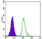 SMN1 Antibody in Flow Cytometry (Flow)