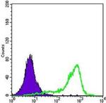 SOD1 Antibody in Flow Cytometry (Flow)