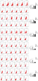 SOX2 Antibody in Flow Cytometry (Flow)