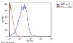 SSEA3 Antibody in Flow Cytometry (Flow)