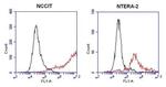 SSEA5 Antibody in Flow Cytometry (Flow)