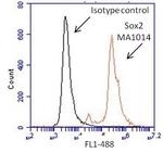 SOX2 Antibody in Flow Cytometry (Flow)