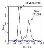 SOX2 Antibody in Flow Cytometry (Flow)