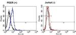 TCR gamma/delta Antibody in Flow Cytometry (Flow)