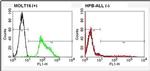 TCR V alpha 2 Antibody