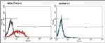 TCR V alpha 2 Antibody in Flow Cytometry (Flow)