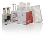 Multispecies ERK1/ERK2 (Total/Phospho) InstantOne™ ELISA Kit (85-86013-11)