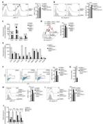 TNF alpha Antibody in Flow Cytometry (Flow)