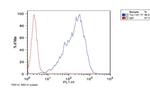 TRA-1-81 Antibody in Flow Cytometry (Flow)