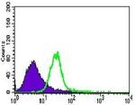 TRAFD1 Antibody in Flow Cytometry (Flow)