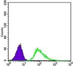 beta-3 Tubulin Antibody in Flow Cytometry (Flow)