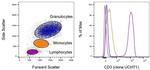 CD3 Antibody