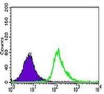 UTF1 Antibody in Flow Cytometry (Flow)