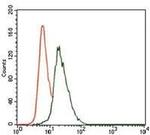 VAV1 Antibody in Flow Cytometry (Flow)